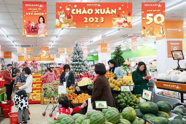 Hệ thống siêu thị BRGMart, Haprofood BRGMart bình ổn giá tết Quý Mão 2023