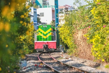 TPHCM đã có 5km đường hoa chạy dọc tuyến đường sắt nội đô