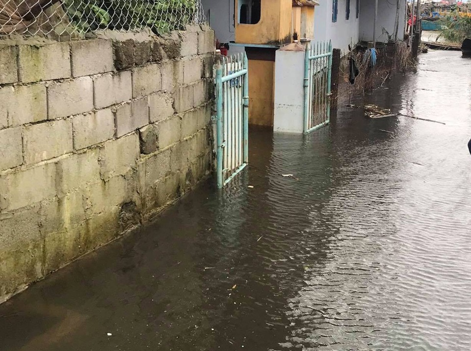 Tàu chìm, nhà sập, trường học tốc mái, cây xanh ngã đổ trong bão số 13 - 6 Tàu chìm, nhà sập, trường học tốc mái, cây xanh ngã đổ trong bão số 13 - 6