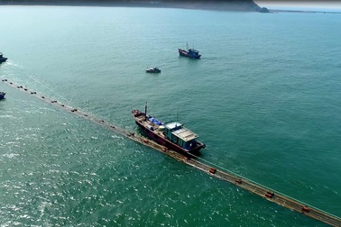 Cty CP Tập đoàn Xây Lắp 1 Petrolimex khẳng định vị thế, vững vàng hội nhập quốc tế