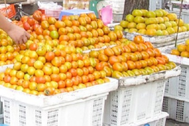 Nhuộm màu, tẩy tem: Hàng Trung Quốc thành đặc sản Đà Lạt