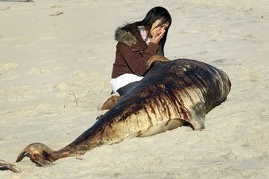 Chùm tin vắn qua ảnh