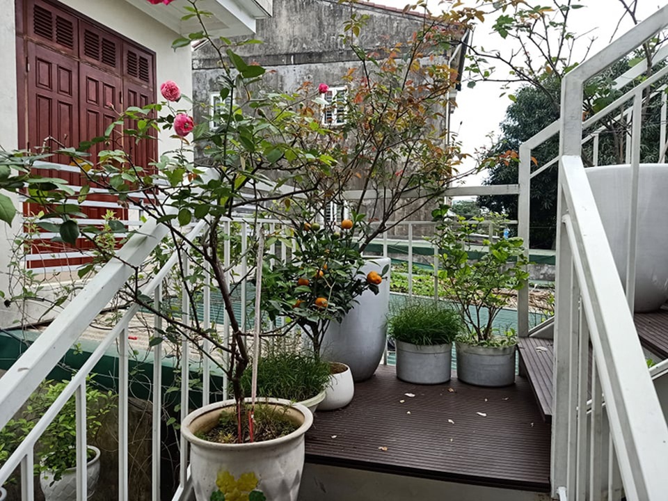Độc đáo ngôi nhà làm bằng container giữa trung tâm phố thị  - 4