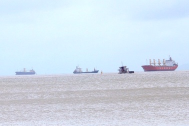 Vụ nhiều tàu hàng bị bão “nuốt chửng”: Cảng Quy Nhơn quá tải?