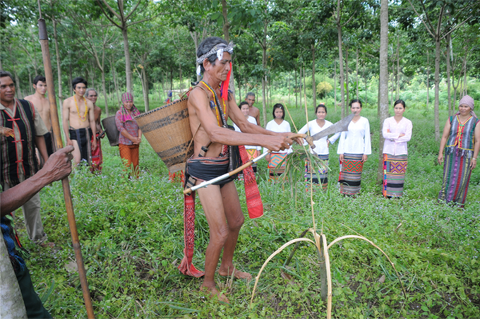 Nền văn hóa đa dạng của người Khmer và Stiêng Bù Đek Bình Phước - Ảnh 2. Nền văn hóa đa dạng của người Khmer và Stiêng Bù Đek Bình Phước - Ảnh 2.