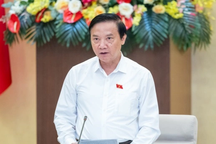 Ca sĩ Hàn Quốc sang Việt Nam diễn mấy đêm bằng doanh nghiệp làm nhiều tháng