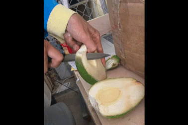 Giống dừa lạ bỏ nước, bổ như bổ cam và chỉ lấy phần vỏ để ăn