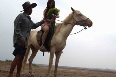 “Váy ngắn” học cưỡi ngựa ở bãi đá sông Hồng