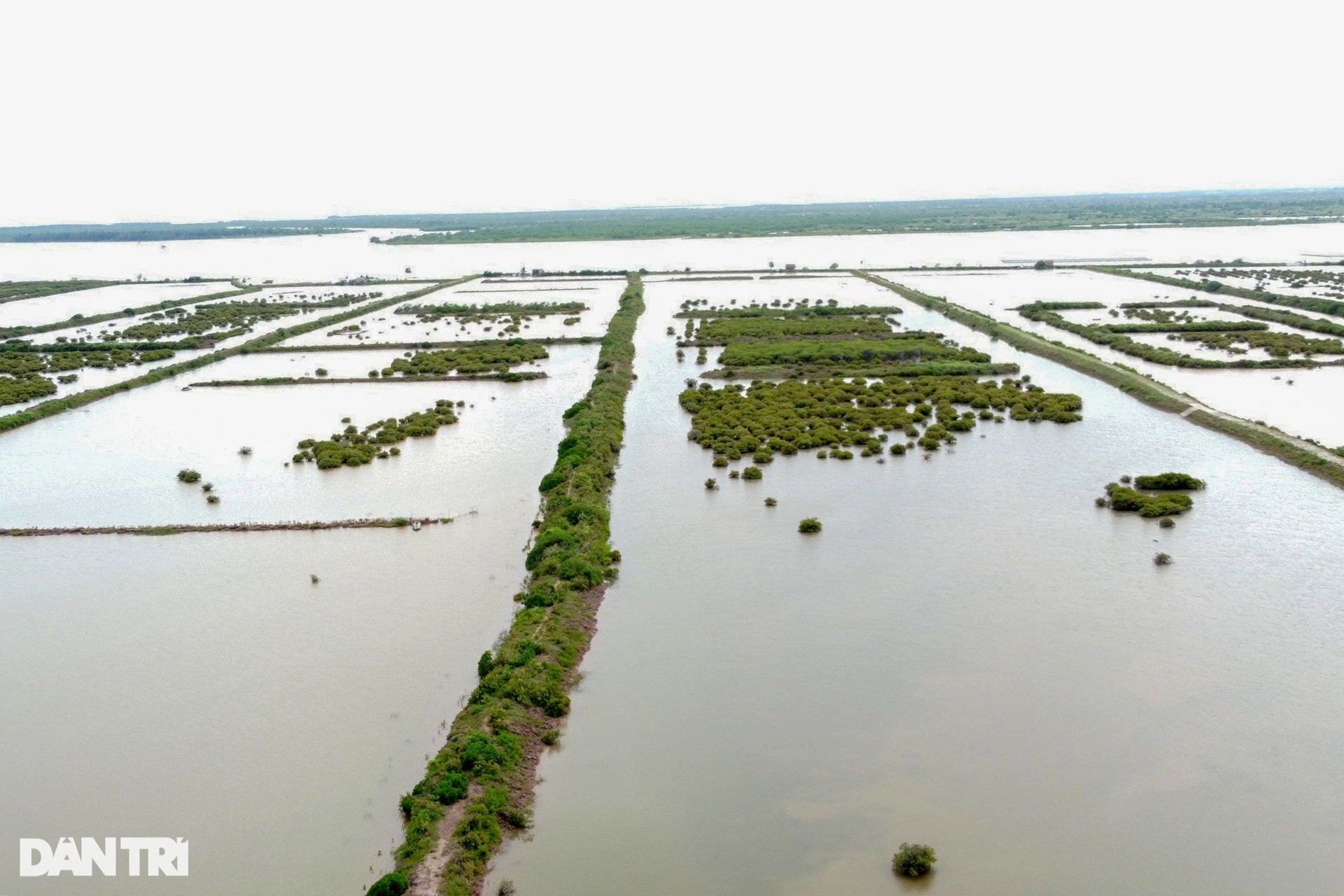 Ngắm khu bảo tồn thiên nhiên có thể bị thu hẹp để xây đô thị, sân golf - 5