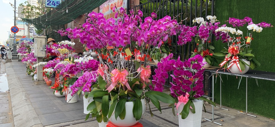 Tiểu thương quyết không giảm giá hoa dù cận Tết - 2 Tiểu thương quyết không giảm giá hoa dù cận Tết - 2