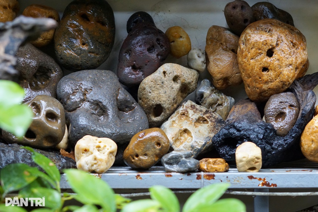 Hàng thập kỷ sưu tầm đá độc, lạ, không bán chỉ để mọi người ngắm - 6