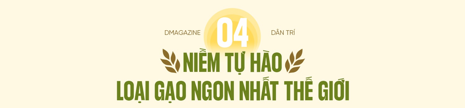 80 năm cây lúa Việt: Từ nạn đói 1945 đến hạt gạo ngon nhất thế giới - 15 80 năm cây lúa Việt: Từ nạn đói 1945 đến hạt gạo ngon nhất thế giới - 15
