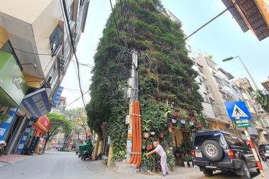 Những nhà Việt phủ kín cây xanh khiến báo Tây cũng phải trầm trồ thích thú