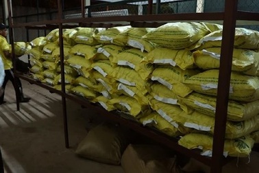 Mua lạc, lúa giá rẻ rồi “hô biến” thành giống cây trồng để bán cho người dân