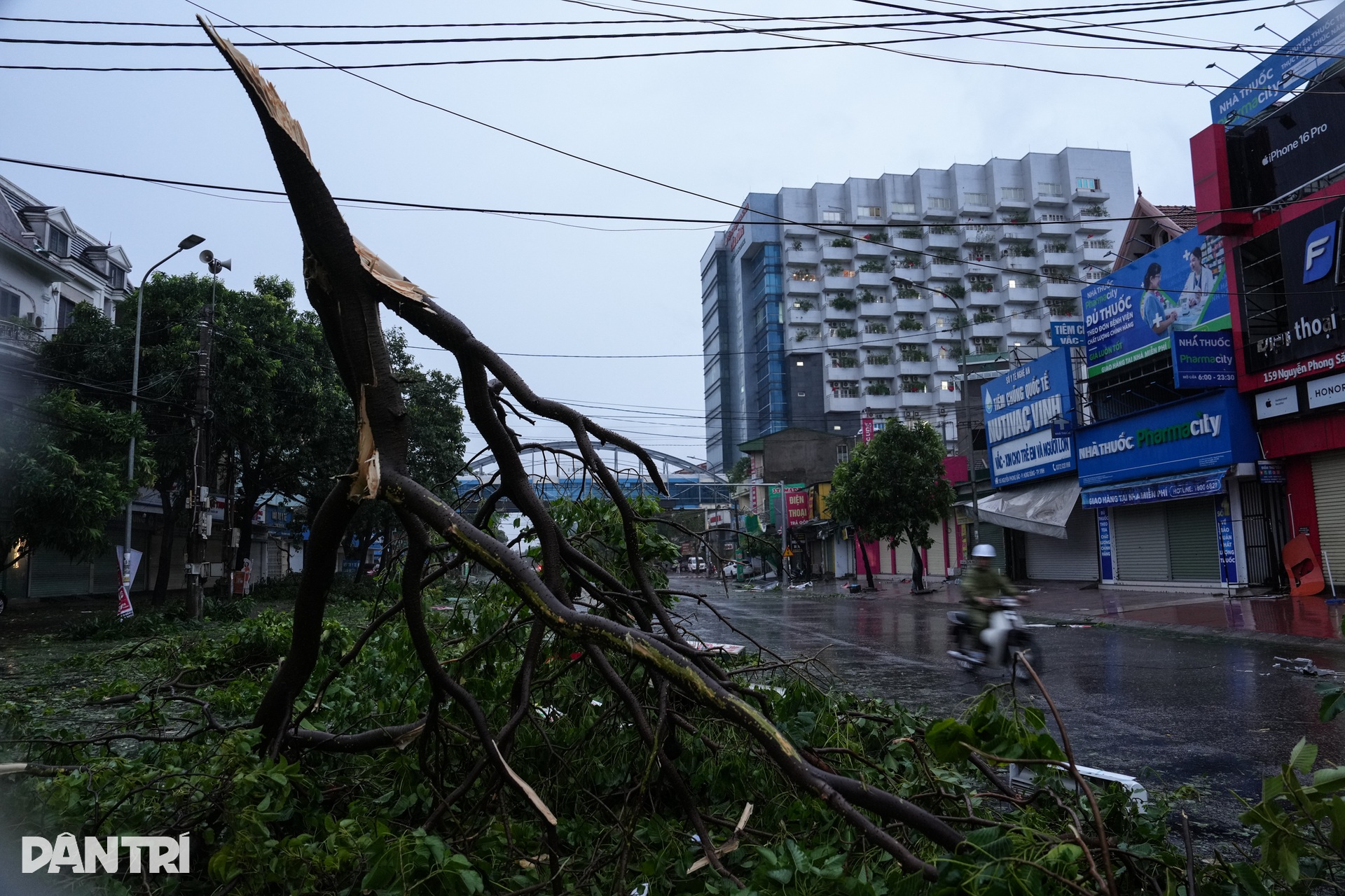 Nhà chờ xe buýt đổ sập, tôn bay và cây nằm la liệt khắp phố sau bão Kajiki - 10 Nhà chờ xe buýt đổ sập, tôn bay và cây nằm la liệt khắp phố sau bão Kajiki - 10