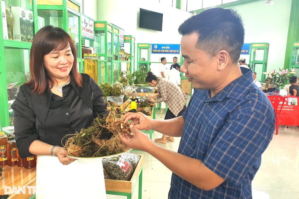 Chợ sâm Ngọc Linh: Nơi đổ tiền mua 