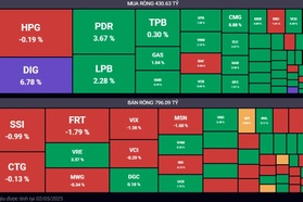 VN-Index sát mốc 1.270 điểm, "cá mập" tiếp tục bán ròng