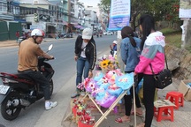 Hoa tươi dịp 8/3 ở Đà Lạt tăng gấp 2-3 lần ngày thường