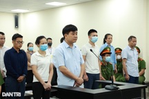 Vụ nâng khống giá cây xanh ở Hà Nội: Cận cảnh dẫn giải các bị cáo đến tòa