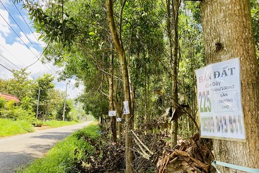 Bất động sản “đứng hình” vì Covid-19, cò đất vẫn tung chiêu tạo “sốt ảo”