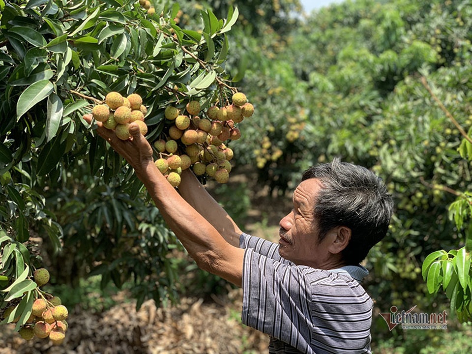 Mỗi năm 1 mùa trắng đêm, đại gia chân đất chia nhau đếm 4.000 tỷ - 1 Mỗi năm 1 mùa trắng đêm, đại gia chân đất chia nhau đếm 4.000 tỷ - 1