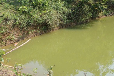 Đi chăn trâu, hai bé trai đuối nước thương tâm