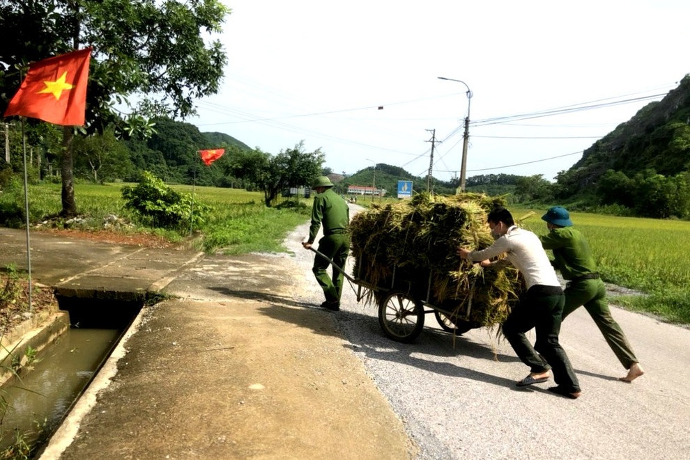 Công an giúp dân đang bị cách ly gặt lúa chạy bão - 7 Công an giúp dân đang bị cách ly gặt lúa chạy bão - 7