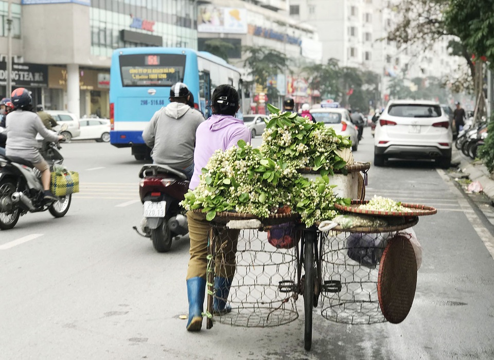 Hoa bưởi xuống phố, khách giành nhau từng chùm - 1 Hoa bưởi xuống phố, khách giành nhau từng chùm - 1