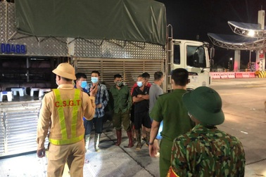 4 người trốn trong xe chở lợn "thông chốt" vào Quảng Ninh