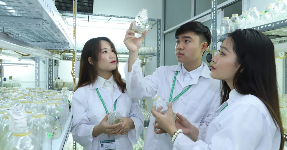 dantri.com.vn