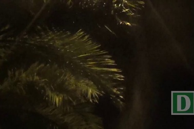 Gió bão quần thảo khu vực biển Đồ Sơn, Hải Phòng