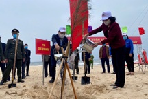 Phó Chủ tịch nước phát động "Tết trồng cây đời đời nhớ ơn Bác Hồ"