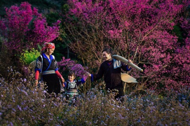 Mời bạn đọc tham gia cuộc thi ảnh "Niềm vui ngày xuân" 2024