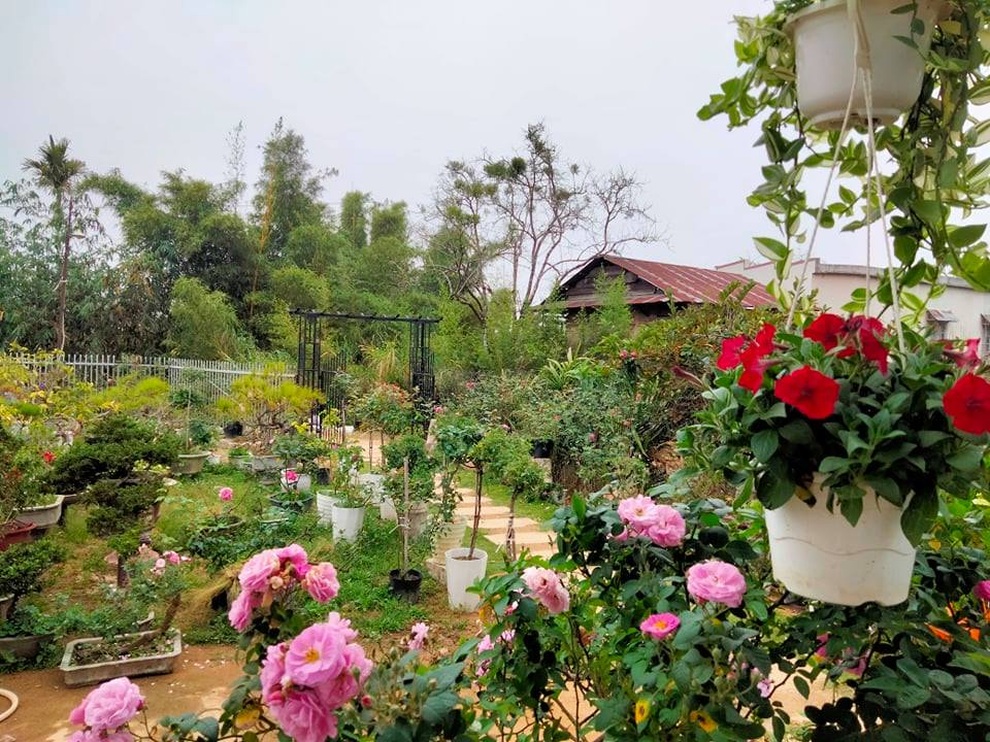 Lạc chân vào vườn 7000m2 ngập rau, hoa hồng của vợ chồng người Lâm Đồng - 2 Lạc chân vào vườn 7000m2 ngập rau, hoa hồng của vợ chồng người Lâm Đồng - 2