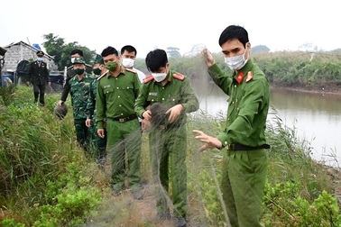 "Mạnh tay" xử lý nạn tận diệt chim trời