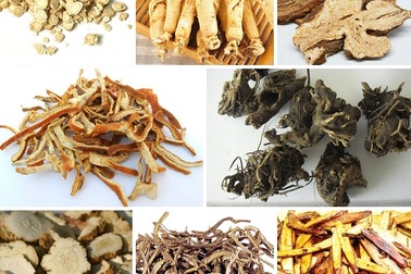 Đông y vẫn có tác dụng nhanh và mạnh trong điều trị trĩ cấp tính