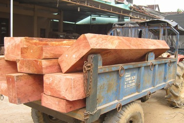 Bắt quả tang một công an chở gỗ lậu 