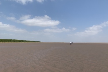 Về xứ Cù lao được ví như “tiểu đồng bằng sông Cửu Long”