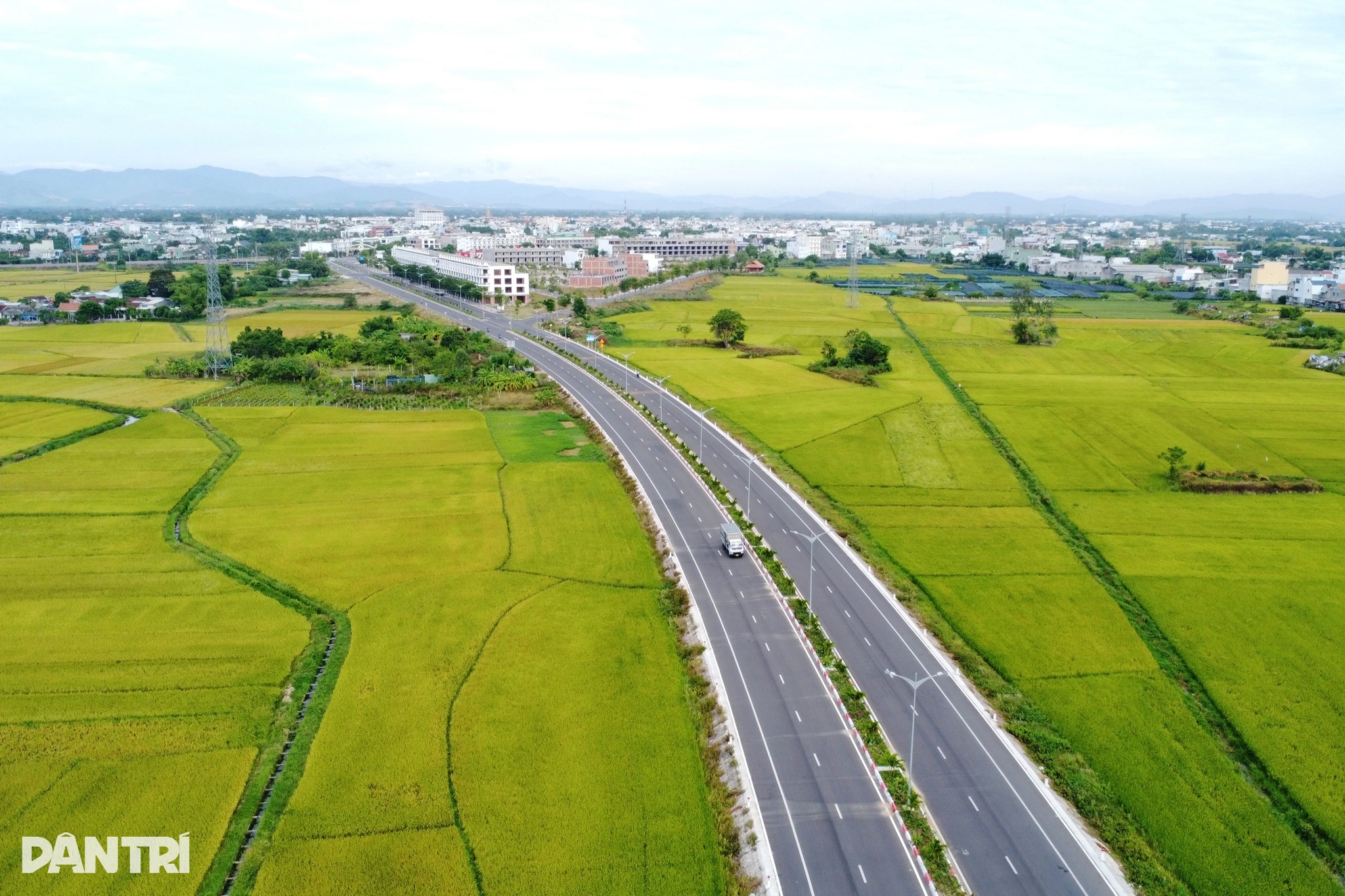 Đường nghìn tỷ băng qua những cánh đồng lúa chín ở miền Trung - 1