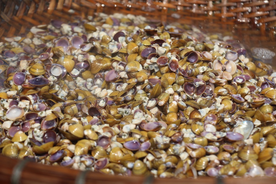 Làng đãi hến hơn 300 năm bên bờ sông La - 10 Làng đãi hến hơn 300 năm bên bờ sông La - 10