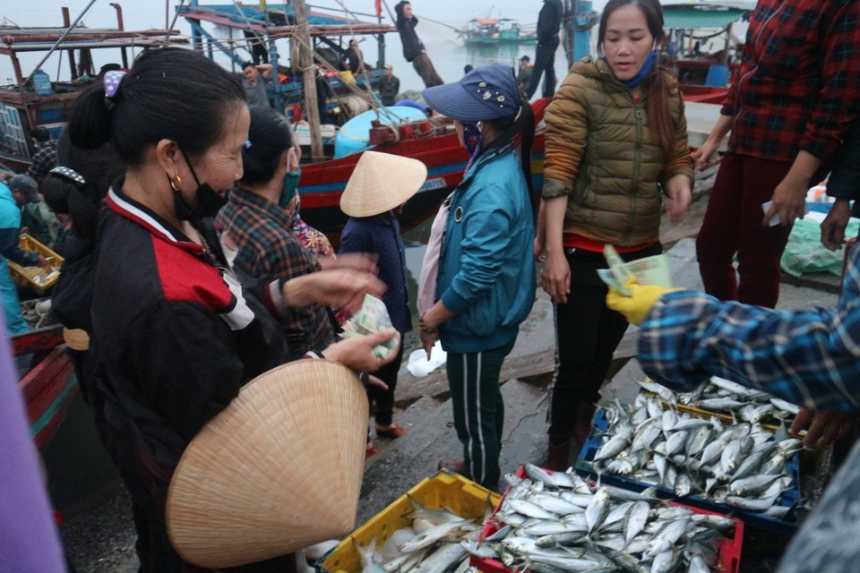 Vươn khơi ngày Rằm tháng Giêng, ngư dân trúng lộc biển - 8 Vươn khơi ngày Rằm tháng Giêng, ngư dân trúng lộc biển - 8