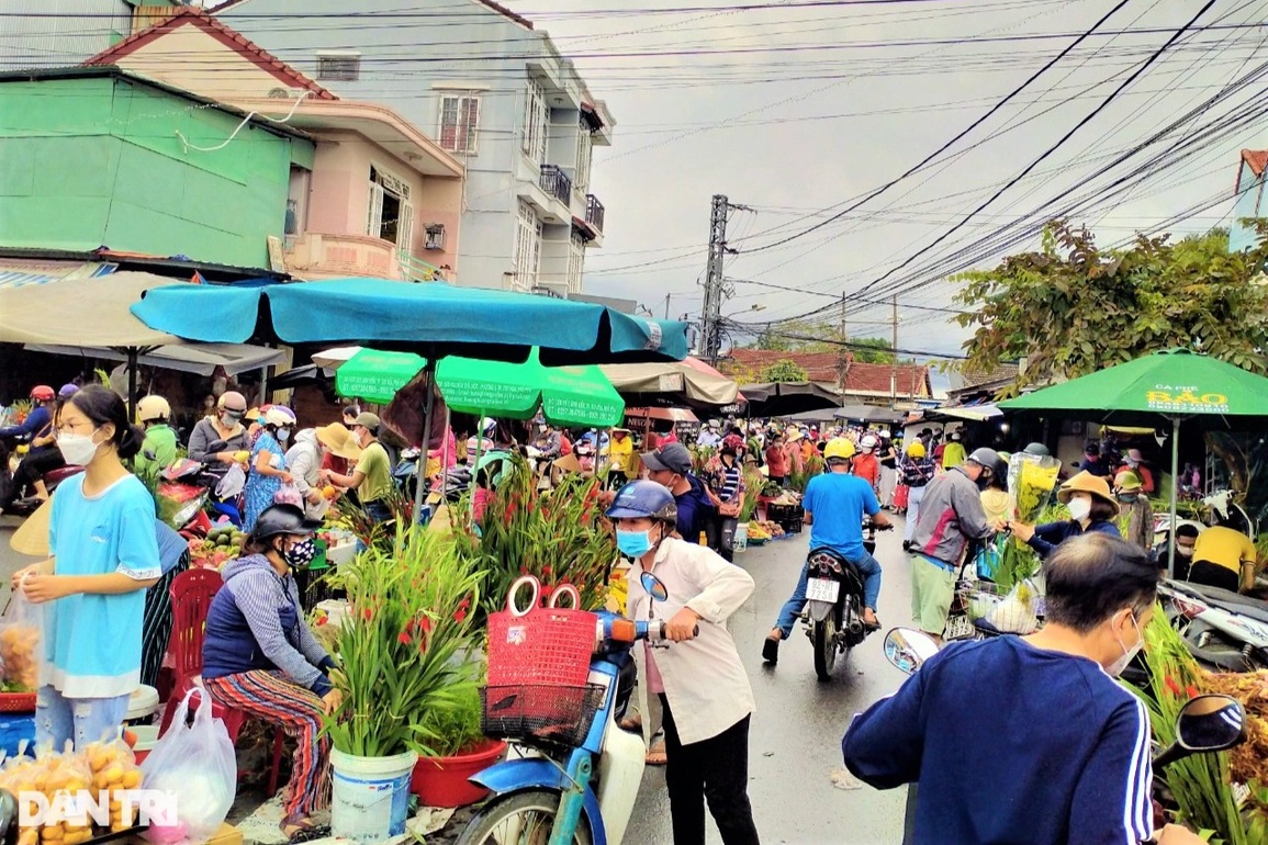 Giá hoa Tết leo thang chóng mặt, có loại đắt gấp 3 - 1 Giá hoa Tết leo thang chóng mặt, có loại đắt gấp 3 - 1