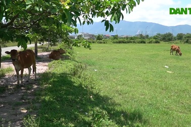 Dự án khu dân cư đô thị trăm tỷ đìu hiu