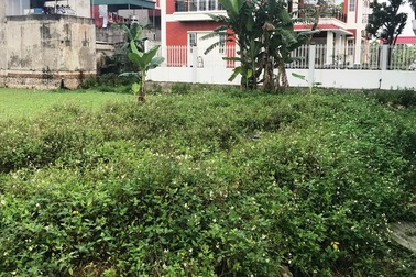 Để người nhà "thâu tóm" đất công, Chủ tịch xã mất chức