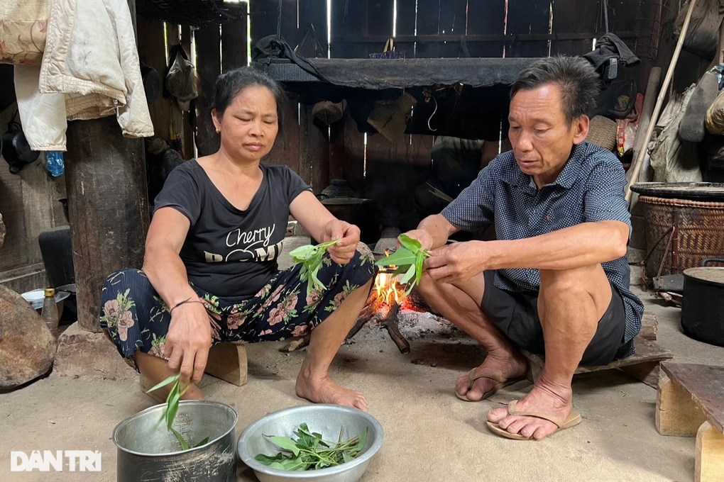 Nếu không có tiền, bố mẹ cháu sẽ chết - 8 Nếu không có tiền, bố mẹ cháu sẽ chết - 8