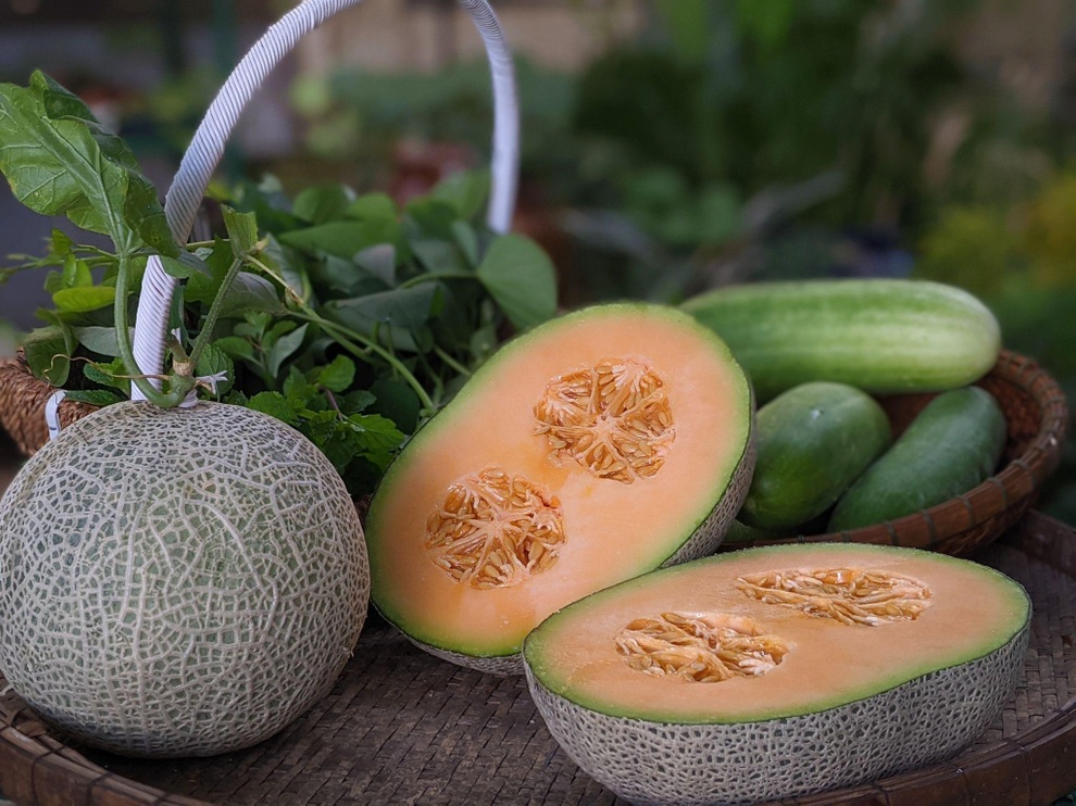 Kiến trúc sư lột xác sân thượng cũ bằng khu vườn sum suê giữa TPHCM - 11