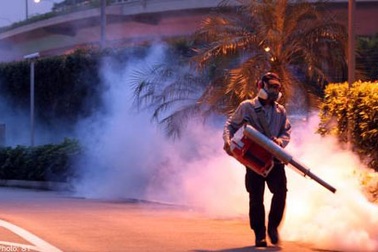 Mẹ từng bị sốt xuất huyết, thai nhi nhiều nguy cơ