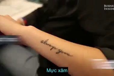 4 thứ không ngờ được chế tạo từ động vật