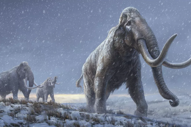 Khôi phục thành công DNA cổ nhất thế giới