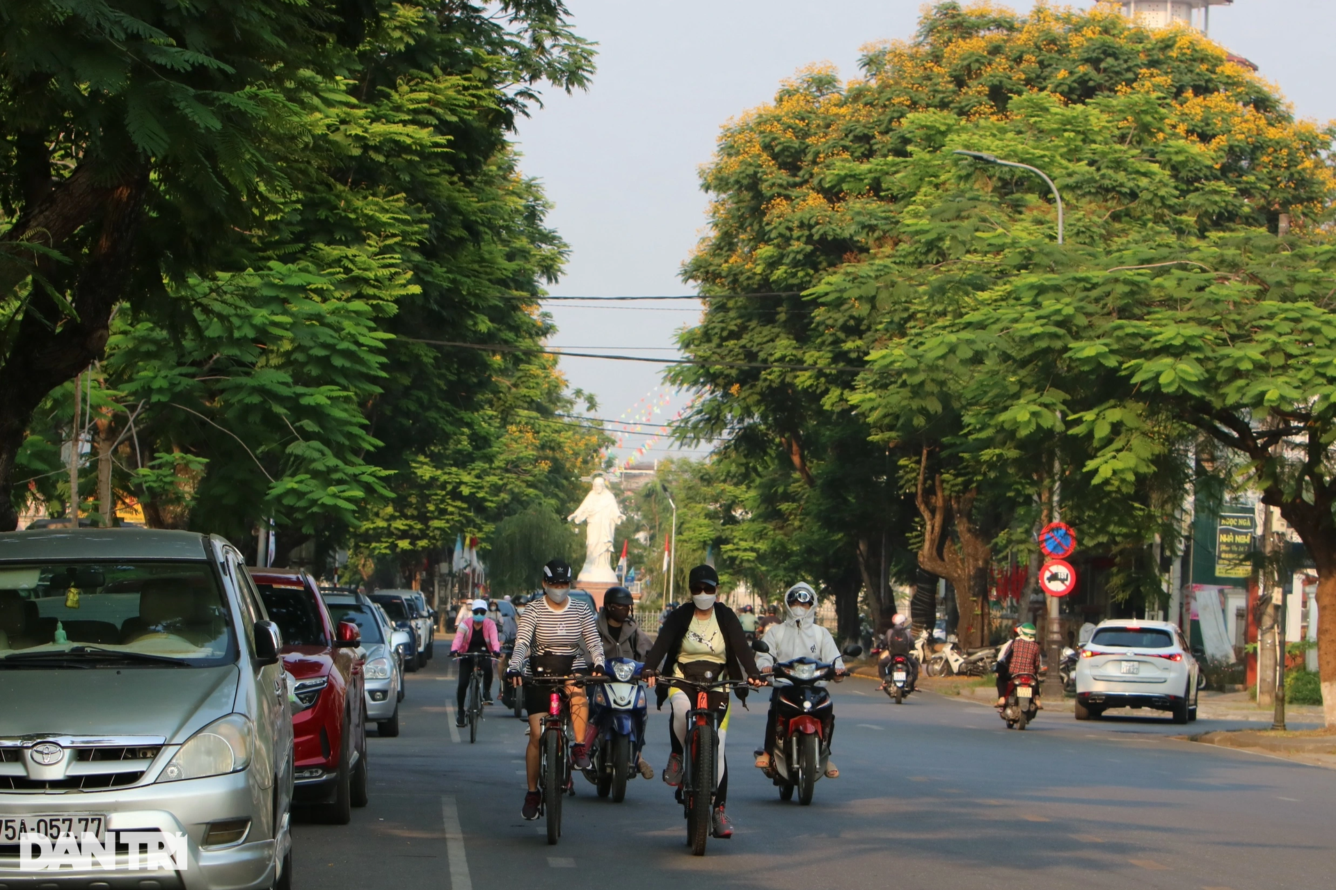 Cây châu Phi và điệp vàng gây thương nhớ ở đô thị di sản Huế - 3